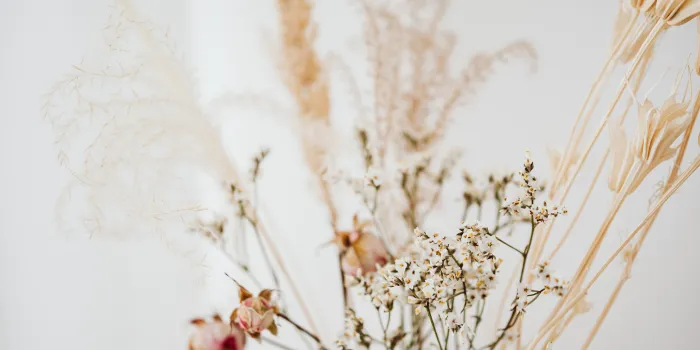 卒業式の髪飾りに生花を選ぶなら｜2週間前｜花屋さんに相談・予約をする